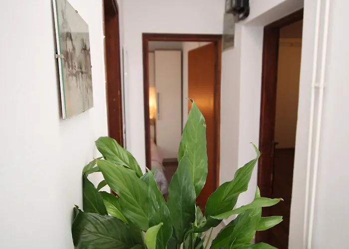 Alba Adria Apartman *