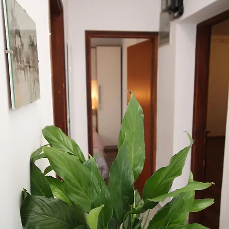 Alba Adria דירה *